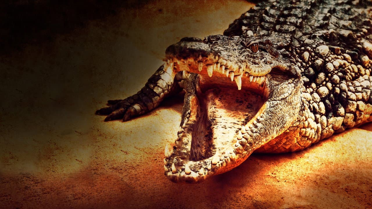 Backdrop – Lair Of The Killer Crocs