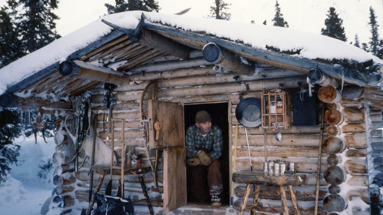 Backdrop – The Frozen North