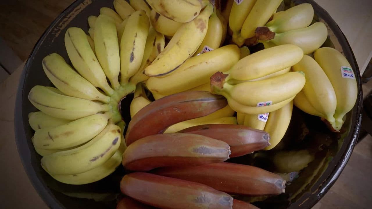 Backdrop – Gardons la banane !