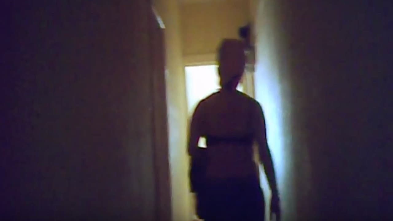 Backdrop – Sex: My British Job