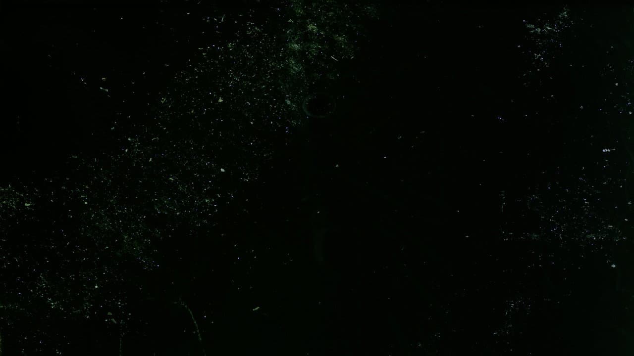 Backdrop – Here are some Images