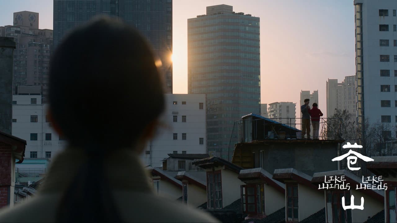 Backdrop – 苍山