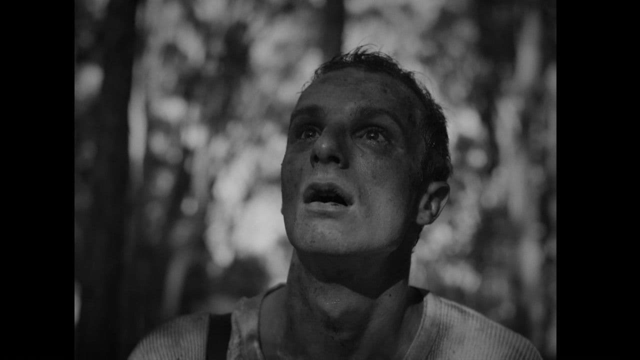 Backdrop – Before We Sleep