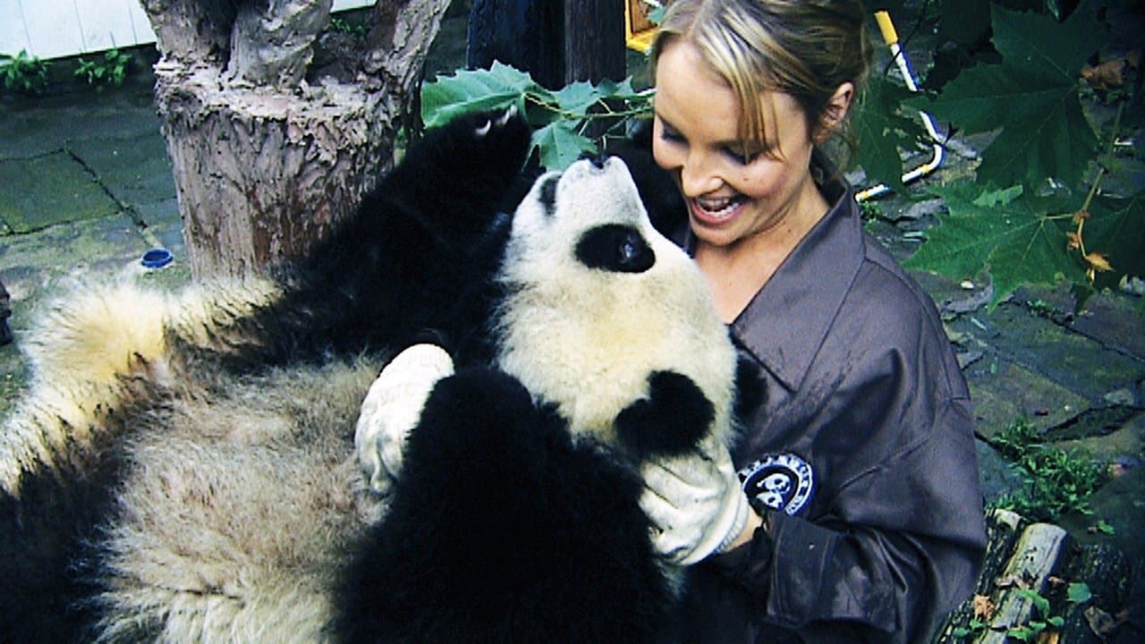 Backdrop – Sneezing Baby Panda: The Movie