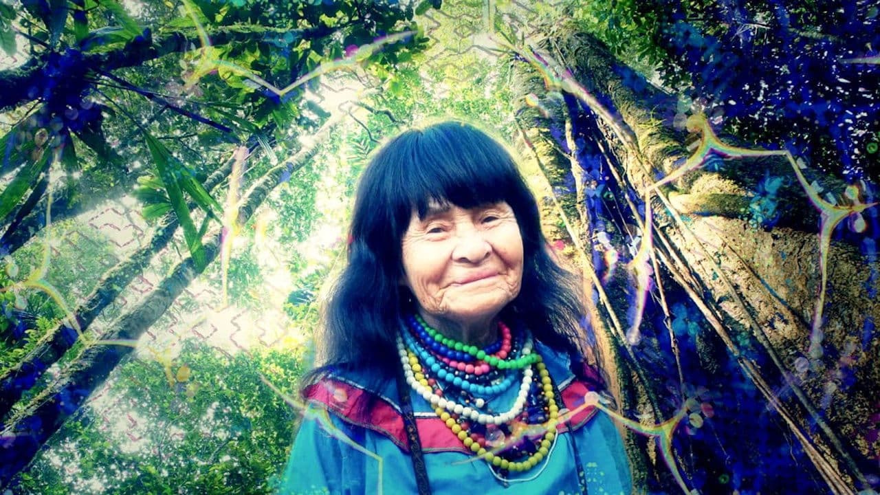 Backdrop – Shipibo: Learning Through the Light