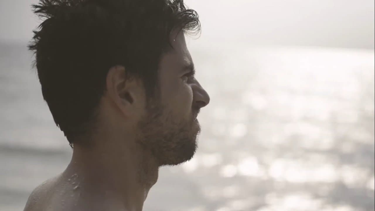 Backdrop – Sexual Animals