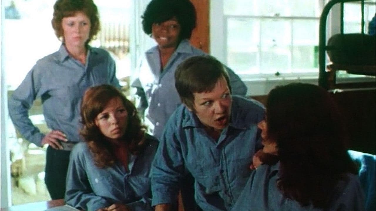 Backdrop – Five Loose Women