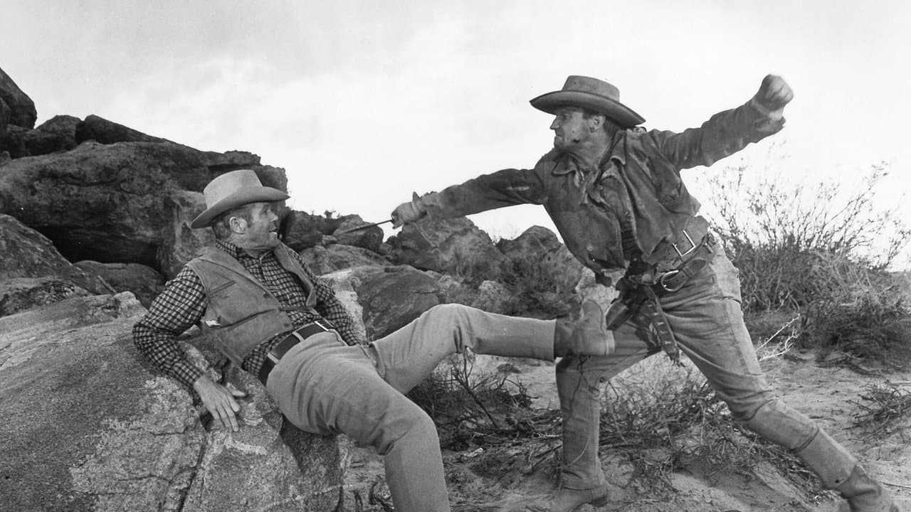 Backdrop – Western-Patrouille