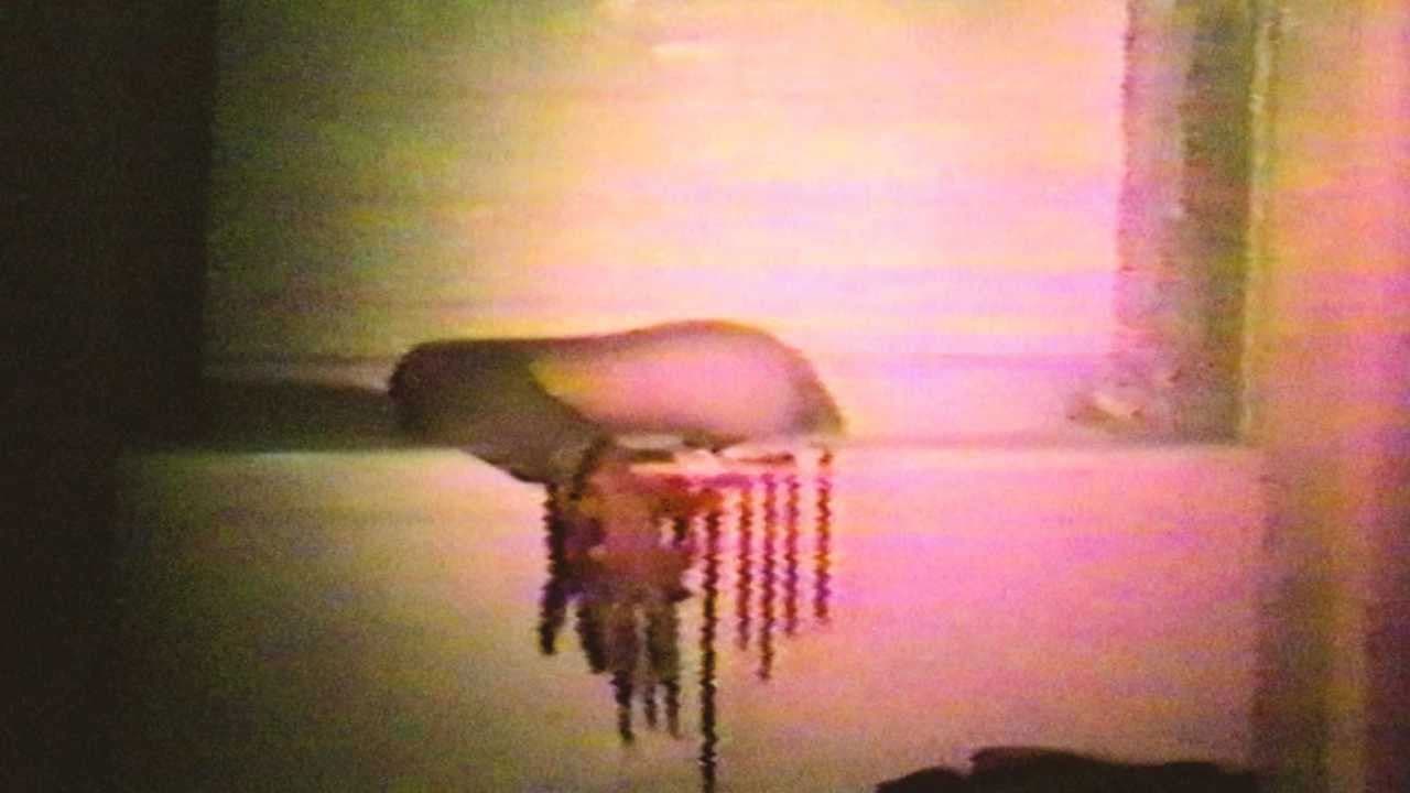 Backdrop – Cannibal Orgy