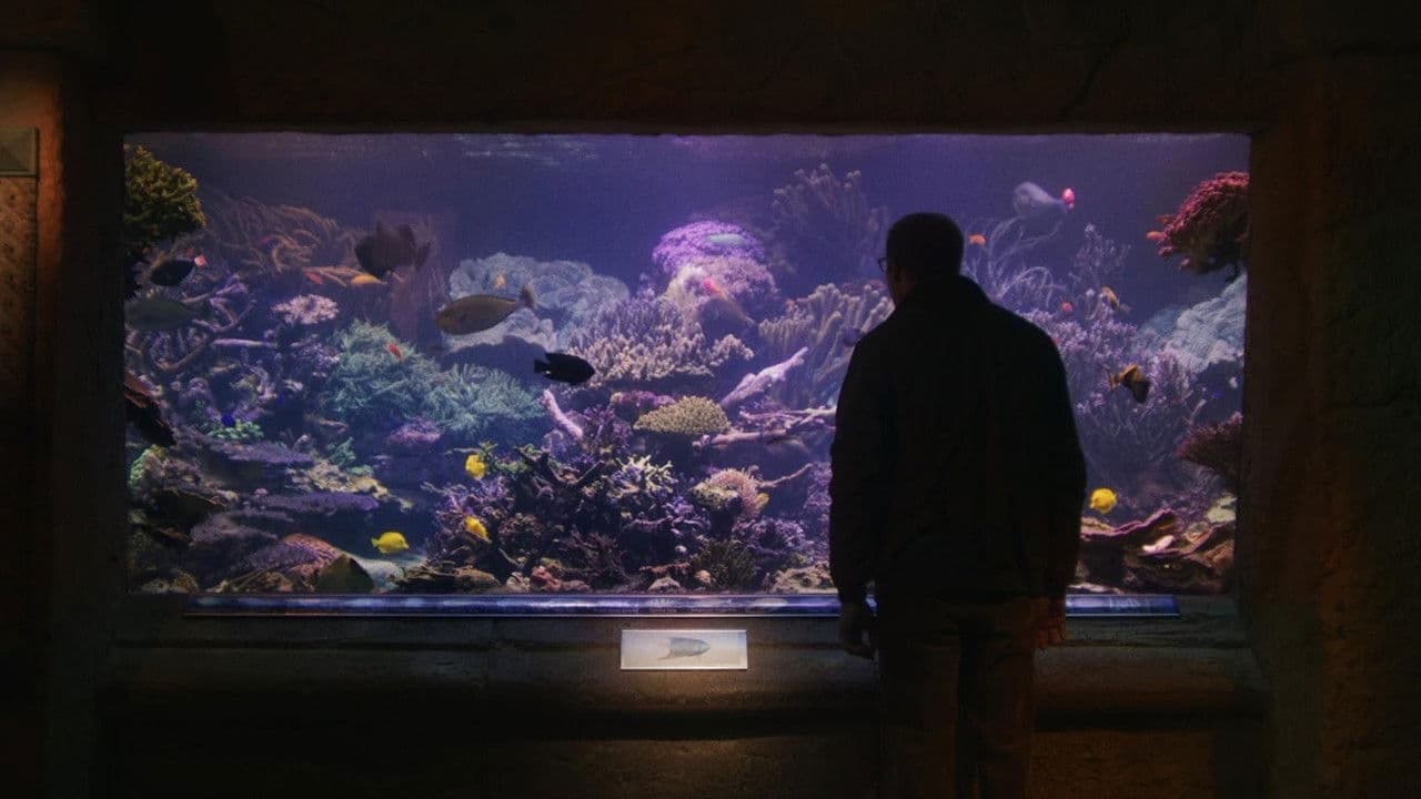 Backdrop – Relaxing Old Footage With Joe Pera