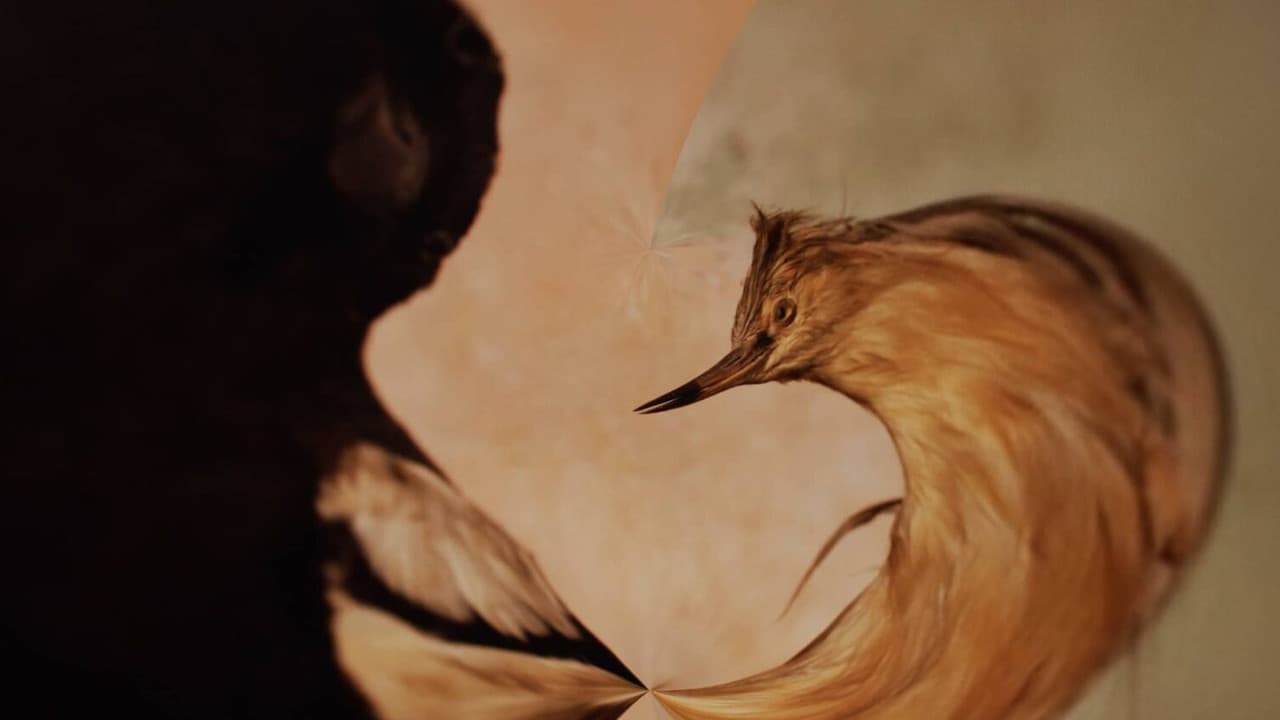 Backdrop – Taxidrome