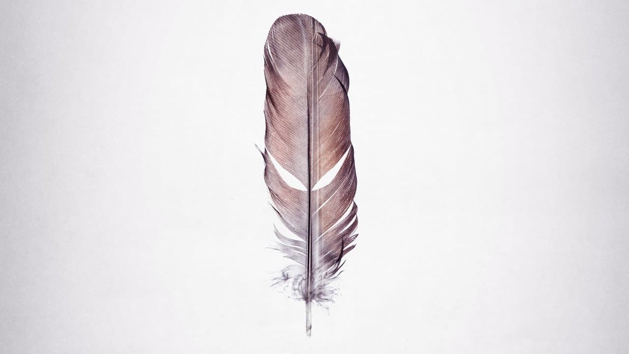 Backdrop – Tickled