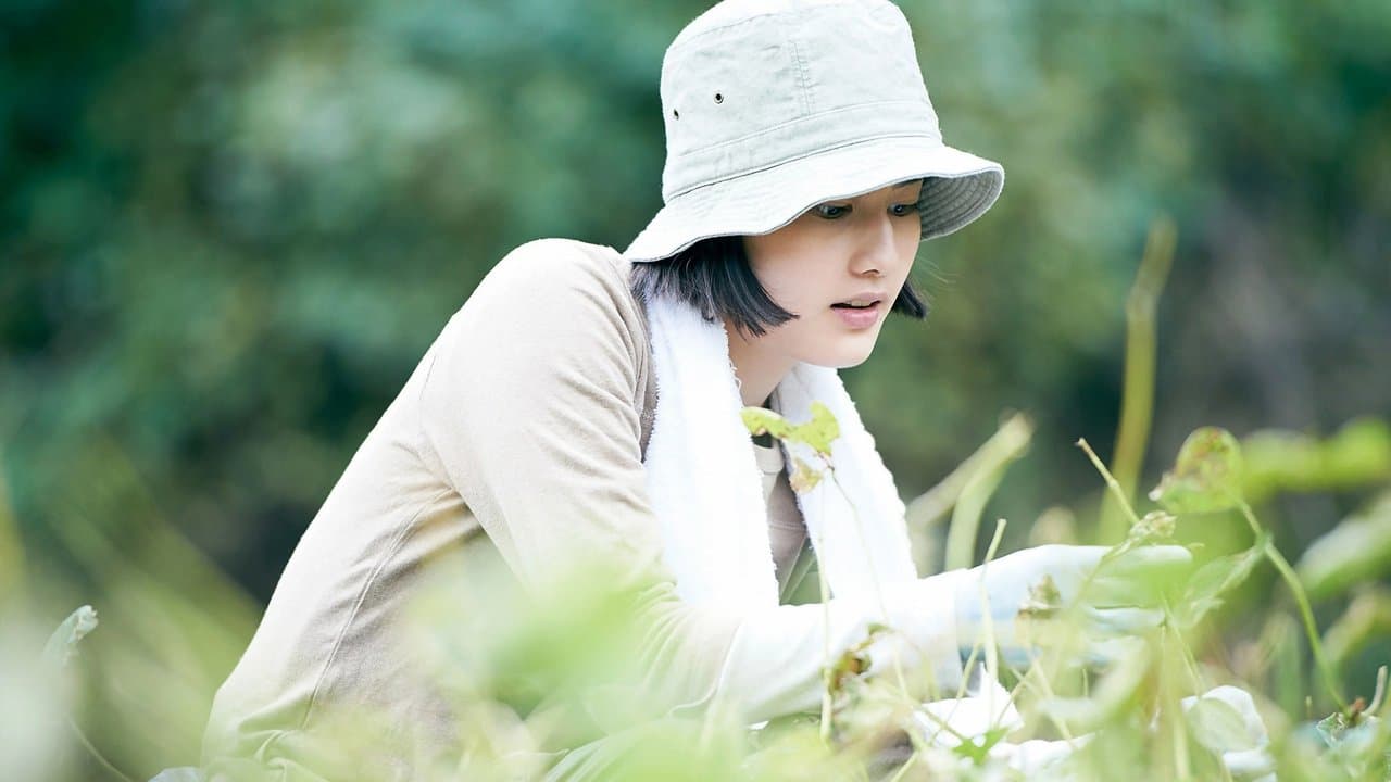 Backdrop – Little Forest: Summer/Autumn