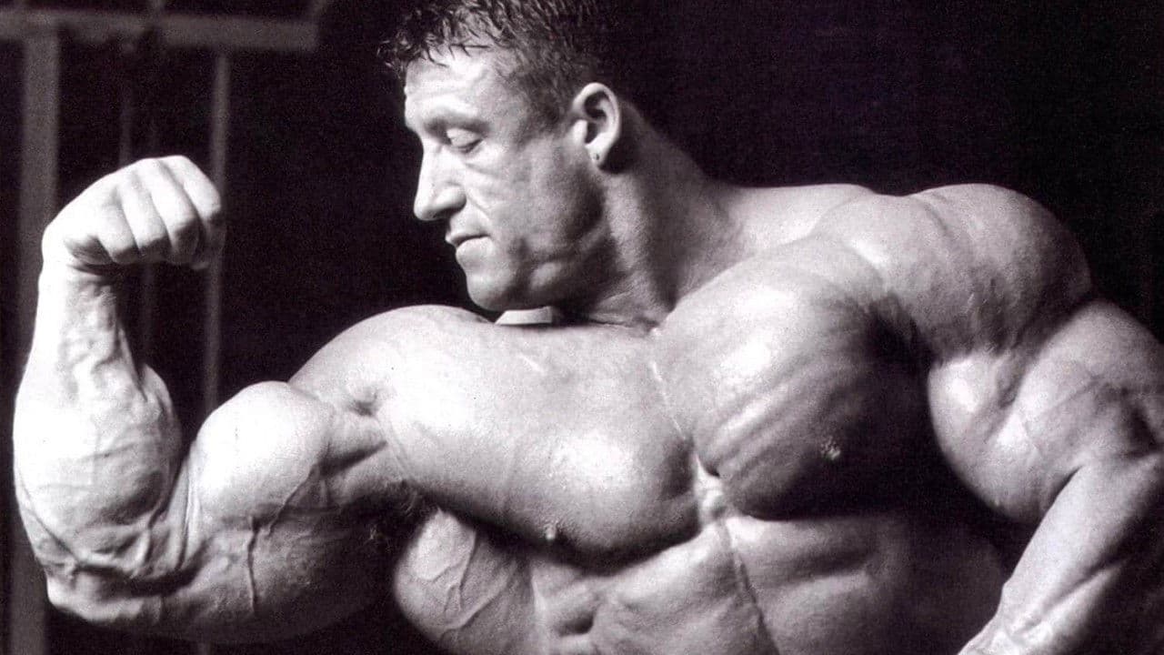 Backdrop – Blood & Guts