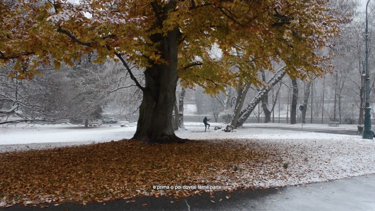 Backdrop – Origini