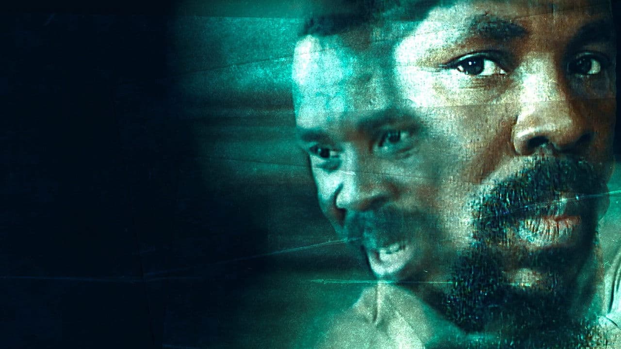 Backdrop – Disciples: The Cult of TB Joshua