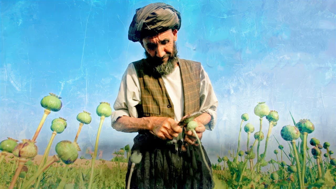 Backdrop – Afghanistan's Opium Trail