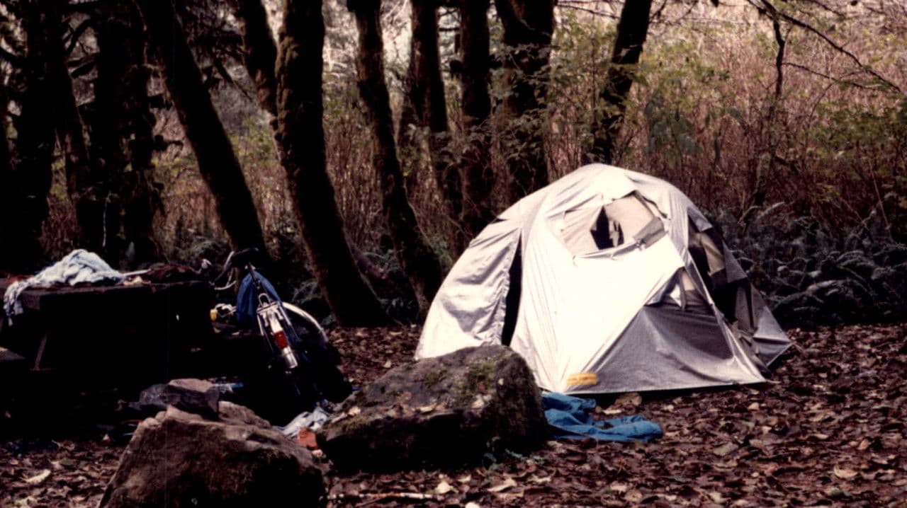 Backdrop – Old Growth Murder