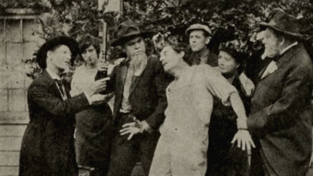 Backdrop – Mr. Dolan of New York