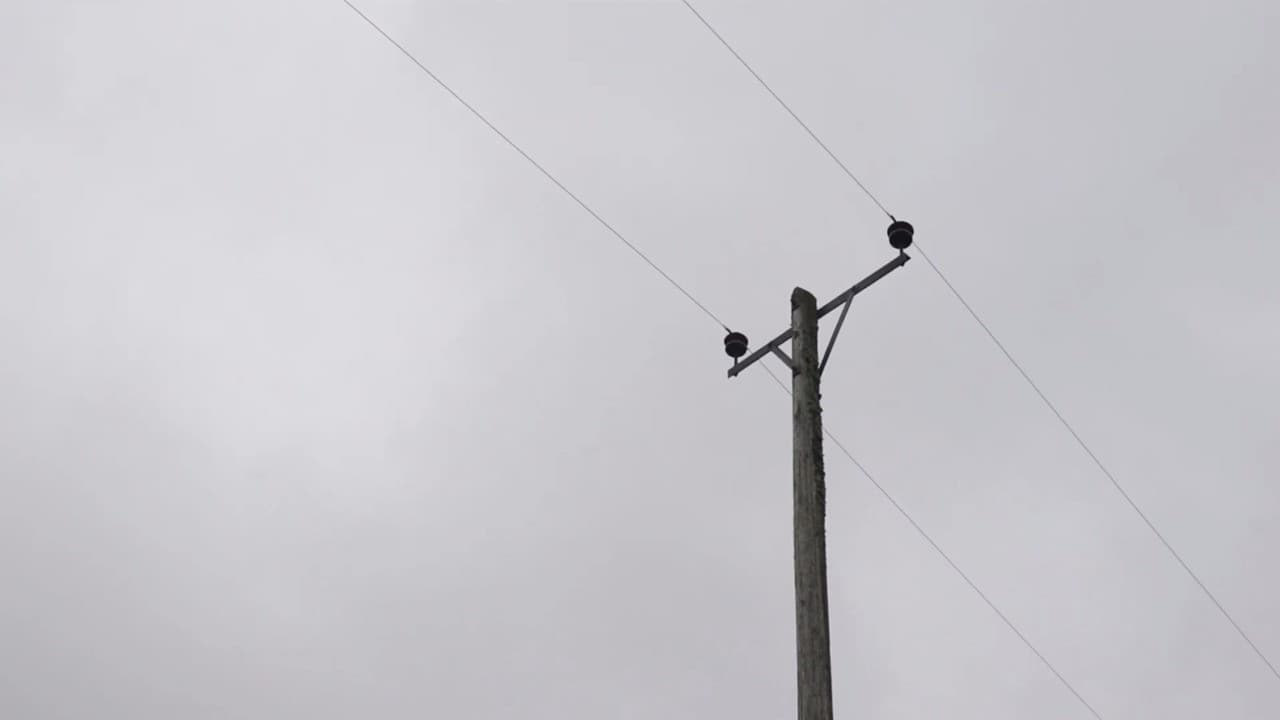 Backdrop – The Gambit