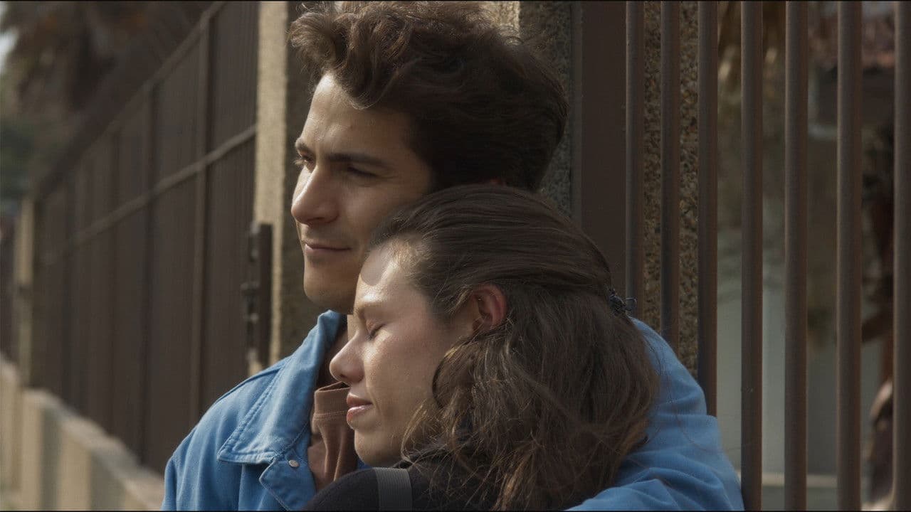 Backdrop – Colibrí