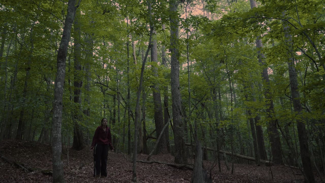 Backdrop – Echoes of the Absent