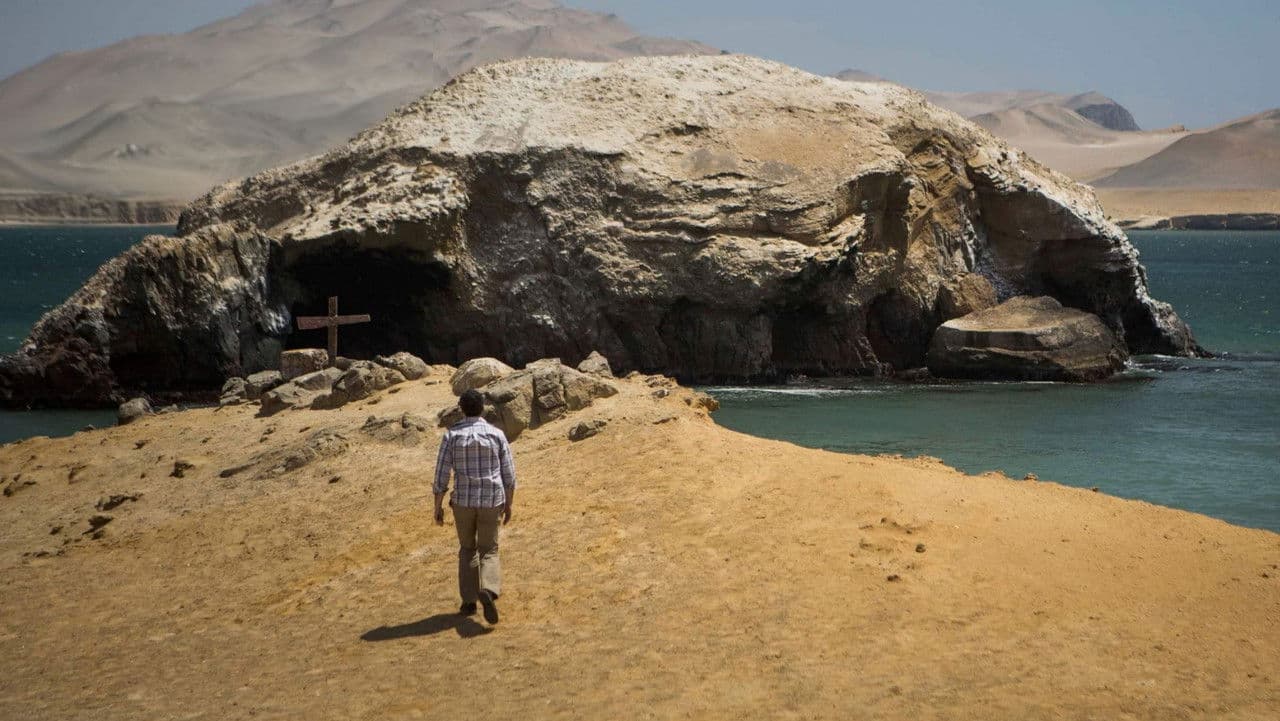 Backdrop – El elefante desaparecido