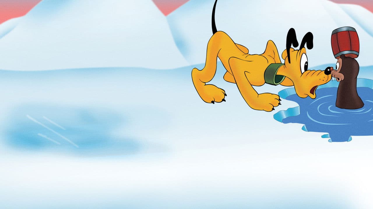 Backdrop – Pluto der Rettungshund