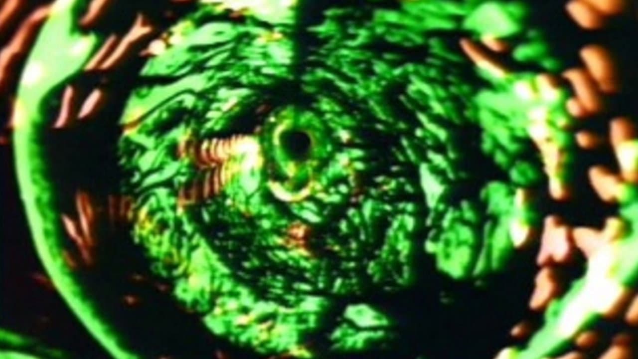 Backdrop – Enigma (謎)