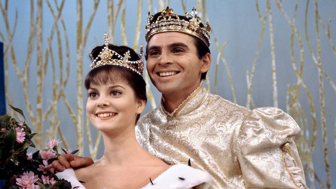 Backdrop – Cinderella