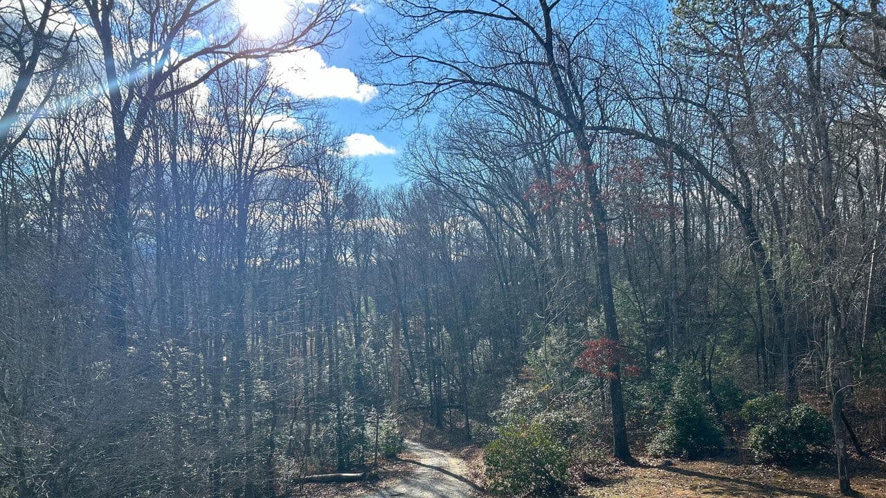 Backdrop – Clausible Deniability