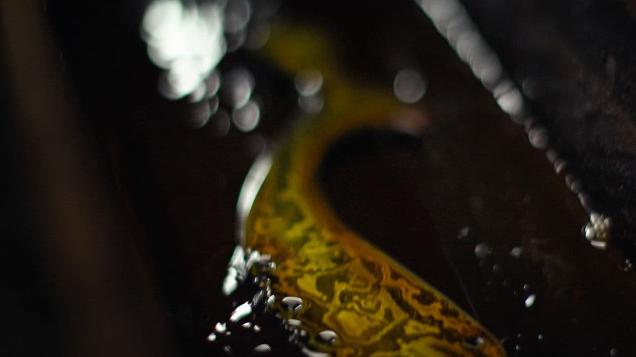 Backdrop – Kujang Sasaka Bwaga Sunda