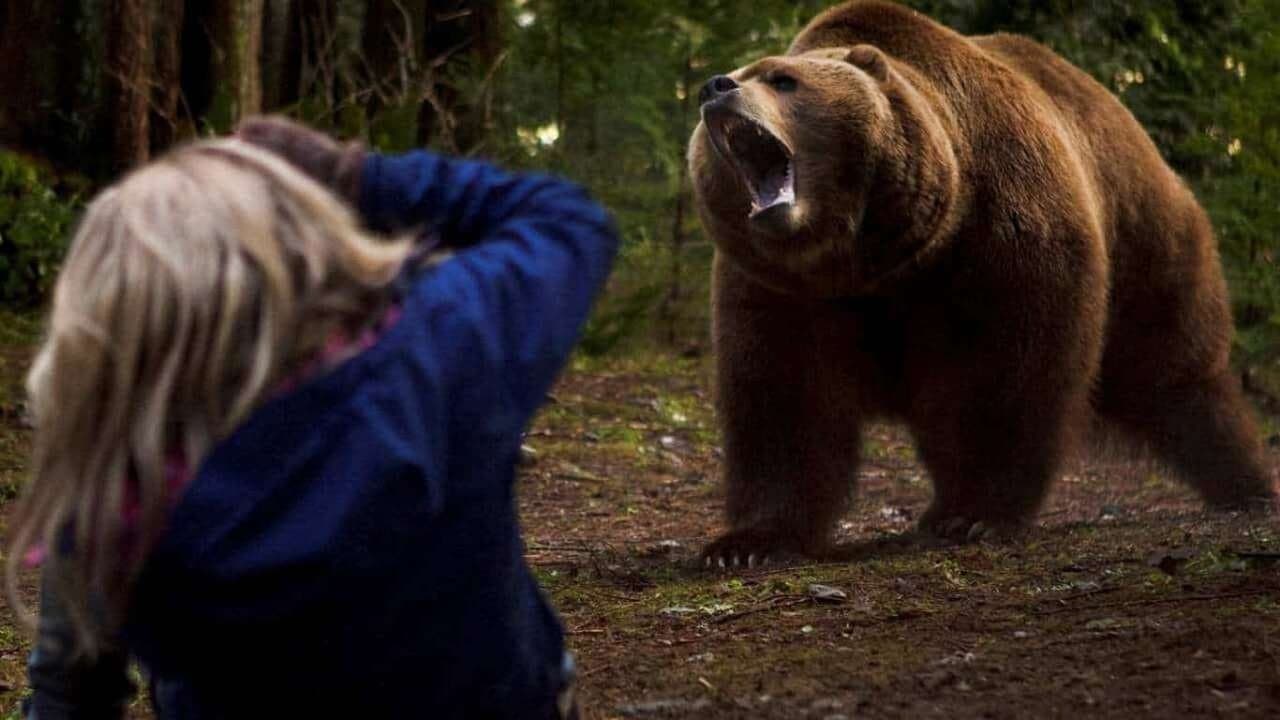 Backdrop – Grizzly Rage - Die Rache der Bärenmutter