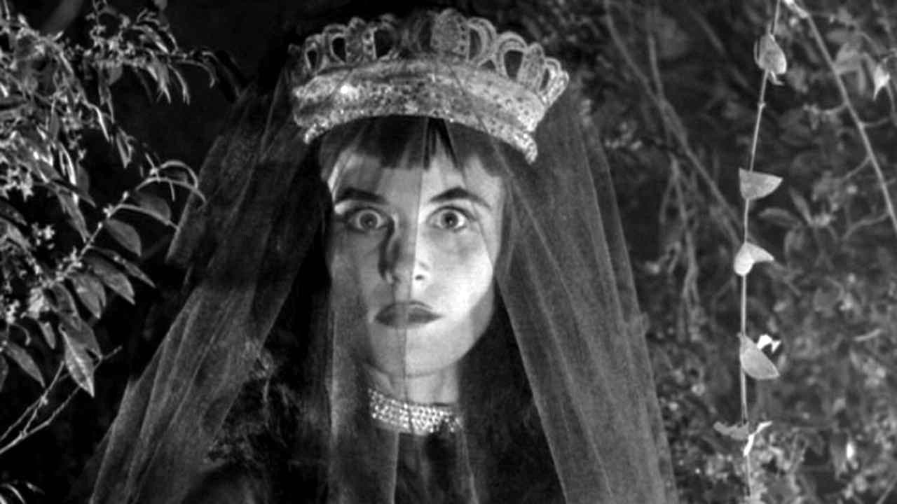 Backdrop – Revenge of the Dead