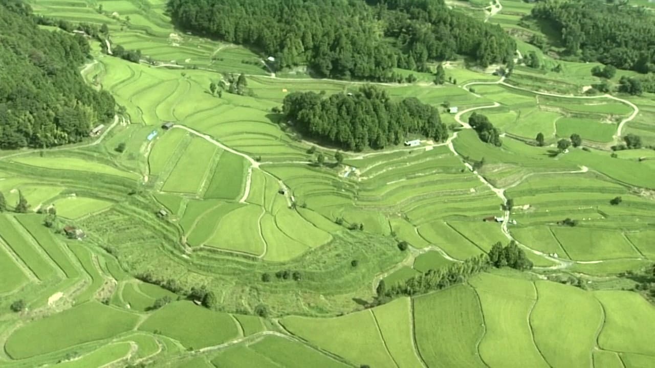 Backdrop – Satoyama I: Japan's Secret Watergarden
