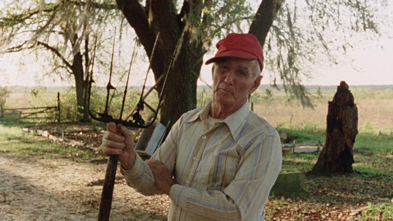 Backdrop – Vernon, Florida