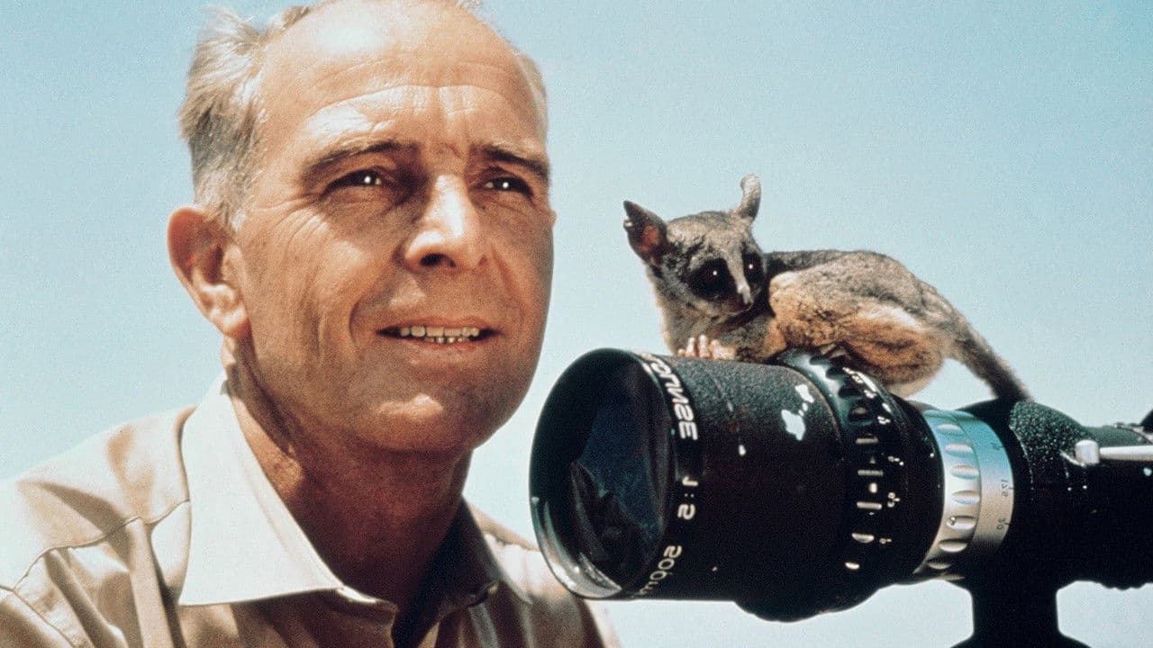 Backdrop – Serengeti darf nicht sterben