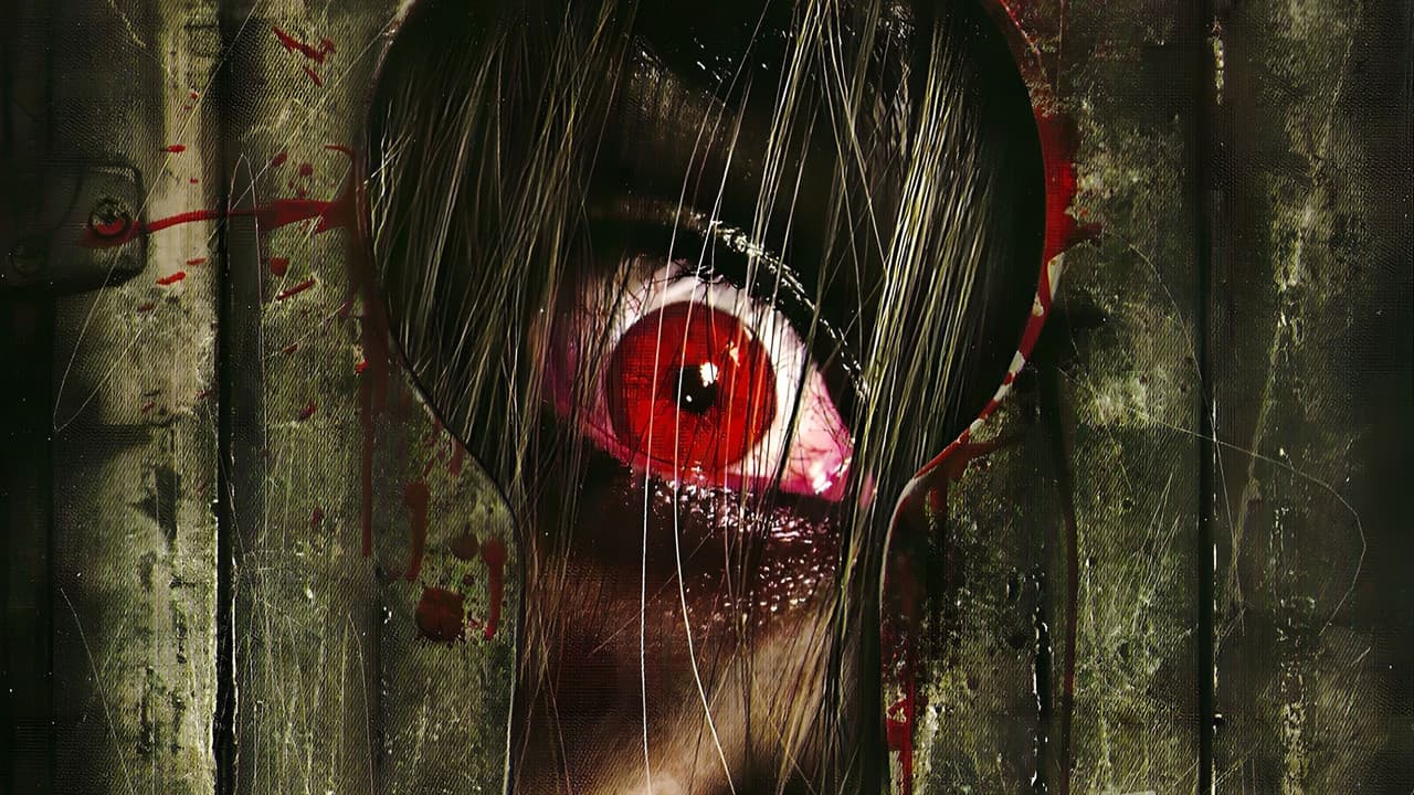 Backdrop – Knock Knock