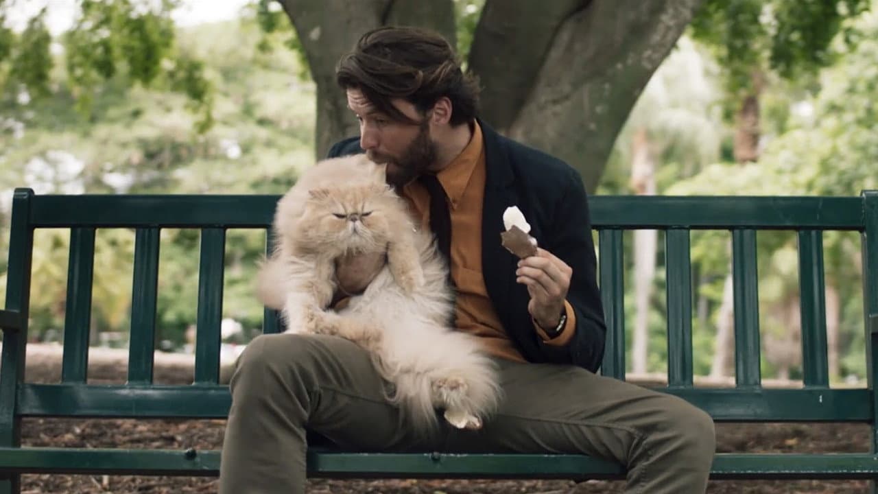 Backdrop – Un Homme et un Chat