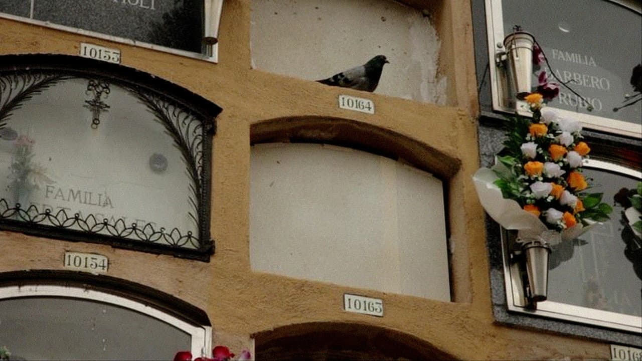 Backdrop – La voz de Thaïs