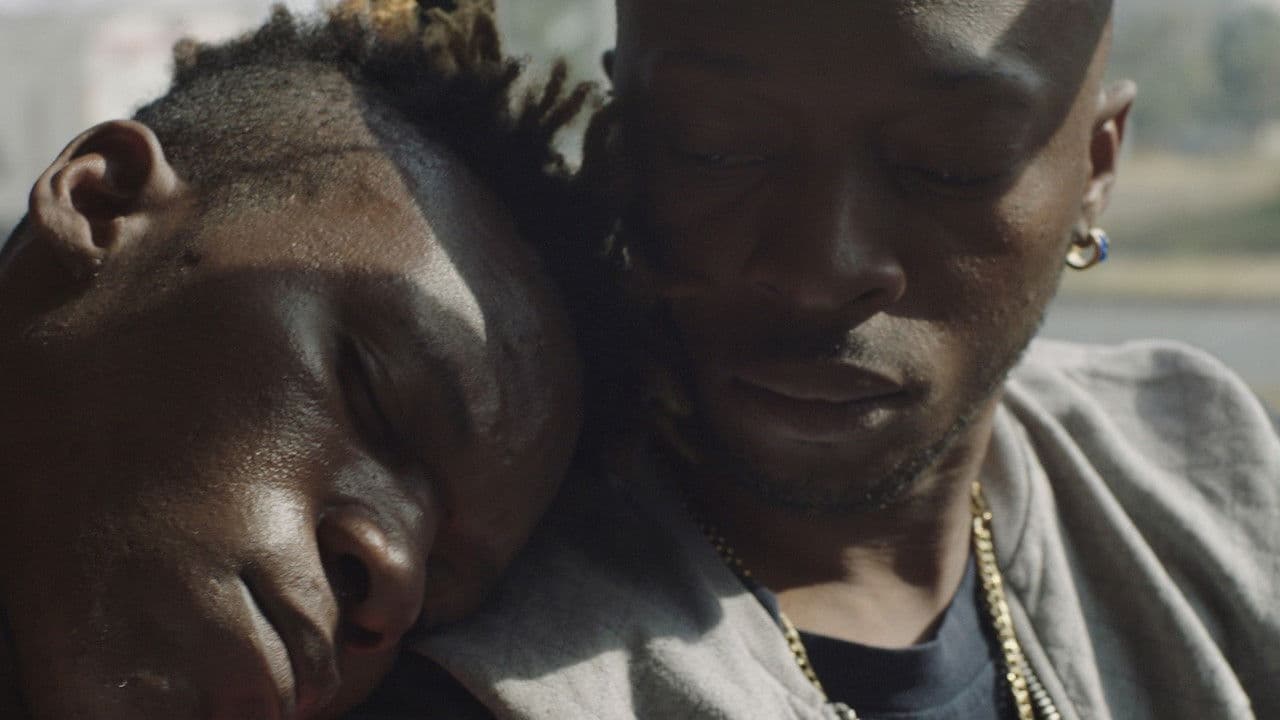 Backdrop – Red Ants Bite