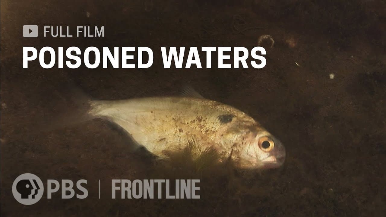 Backdrop – Poisoned Waters