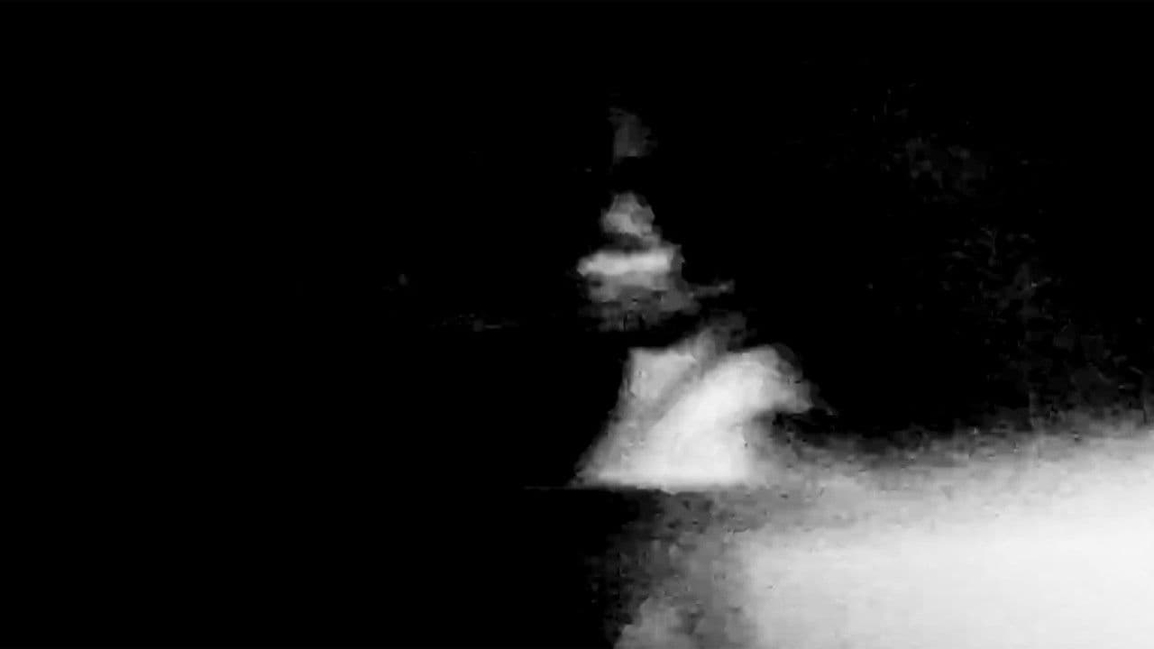 Backdrop – Attachment