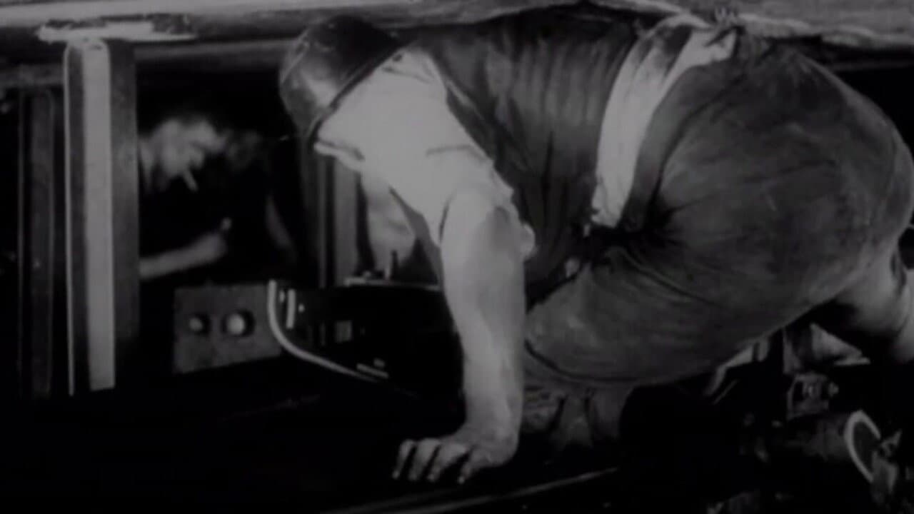 Backdrop – In the Low