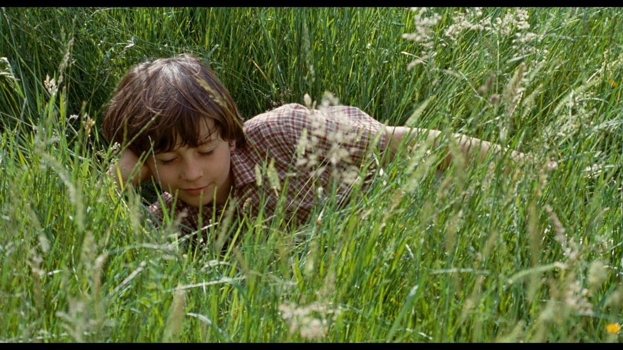 Backdrop – Das Wunder der Natur