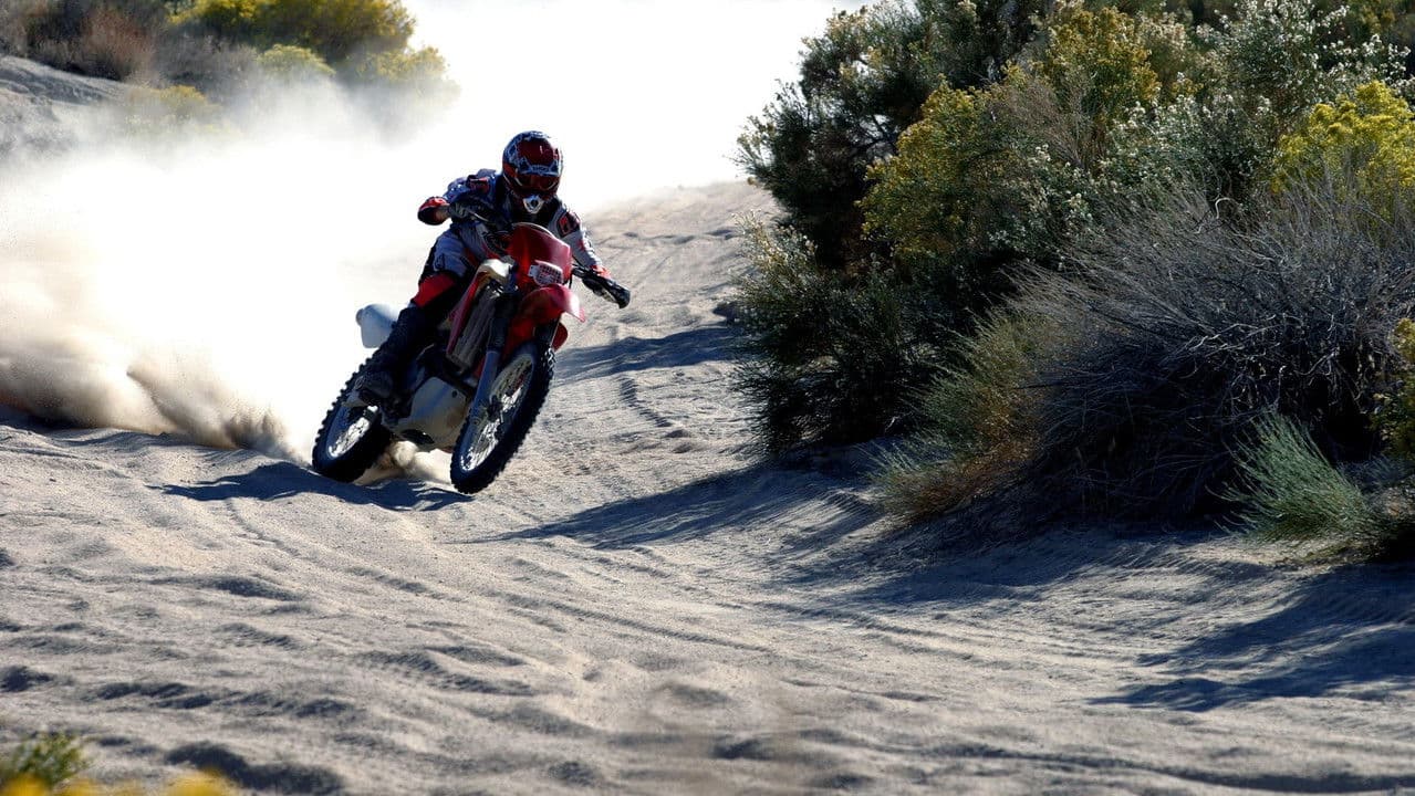 Backdrop – Dust to Glory