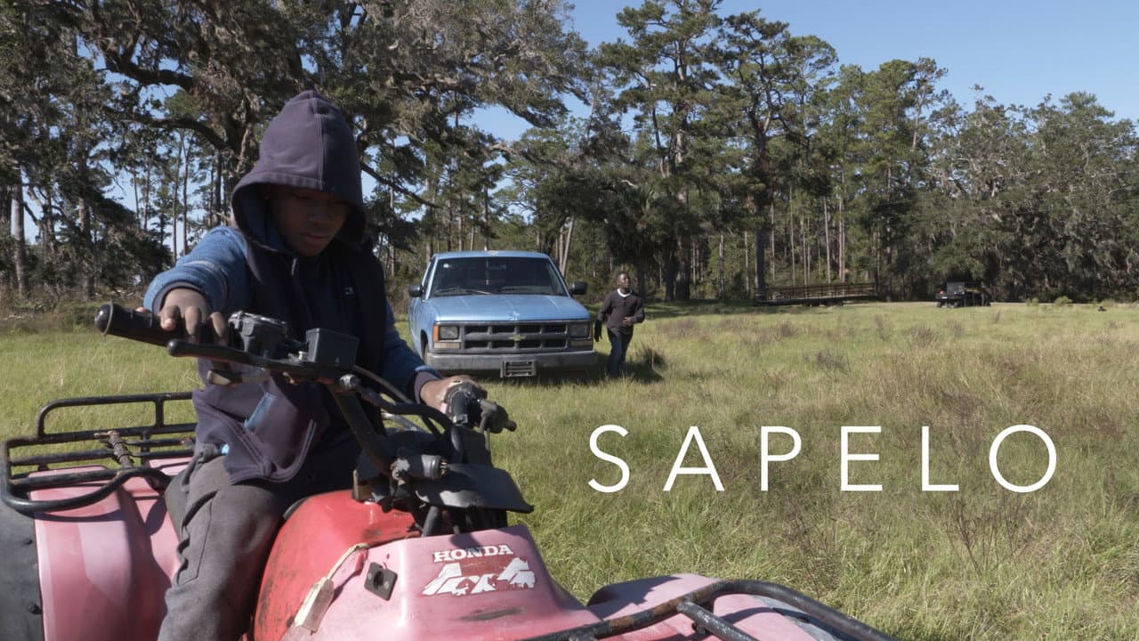 Backdrop – Sapelo