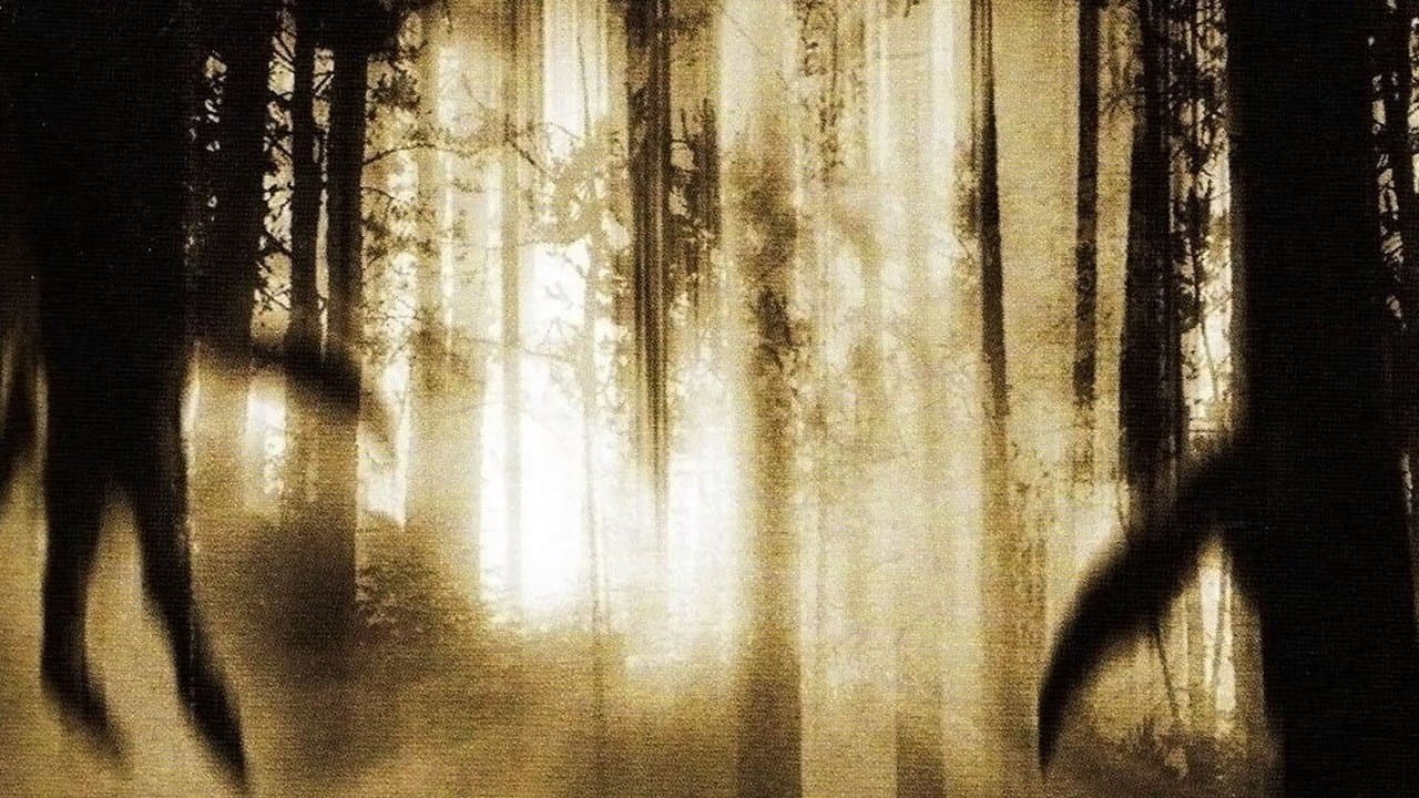 Backdrop – Vergeltung - Sie werden dich finden