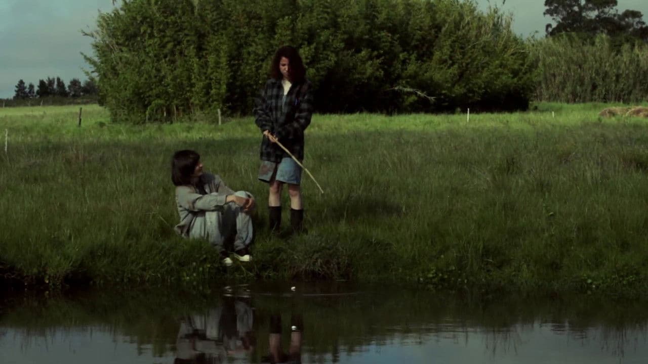 Backdrop – Petricor