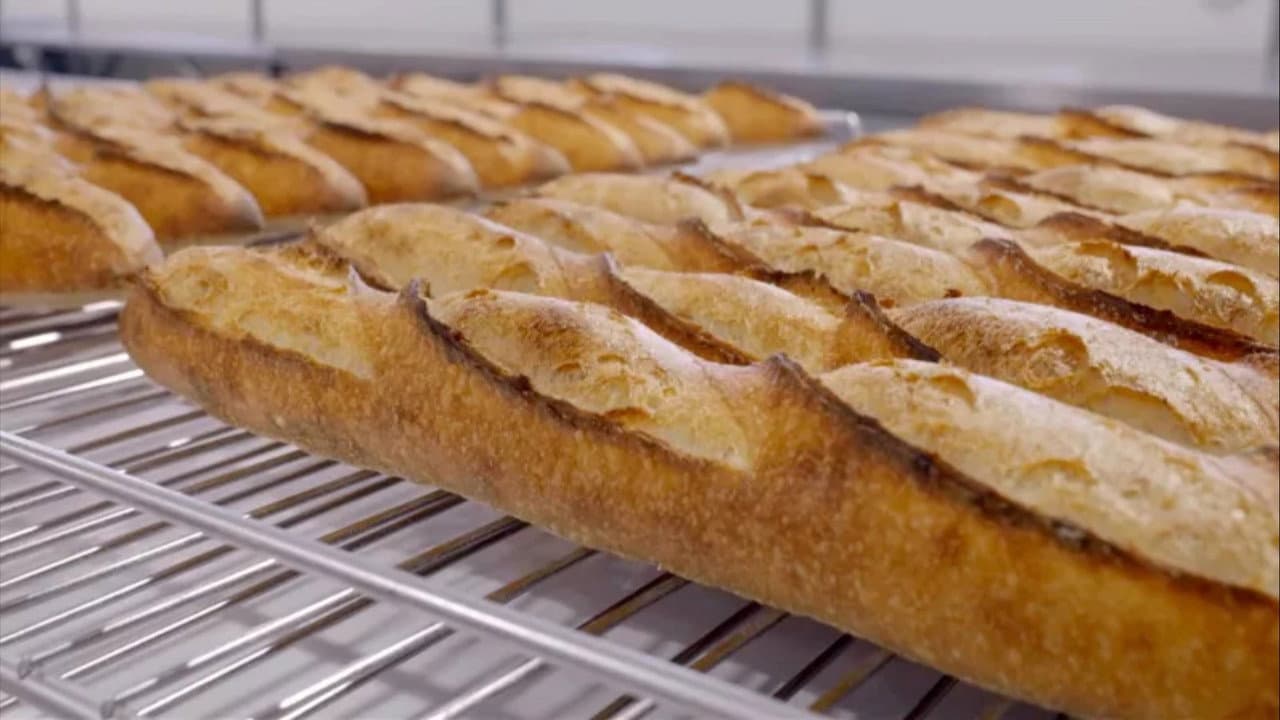 Backdrop – Du pain coûte que croûte